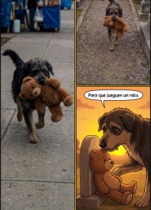 Un velador de un panteón municipal grabó a un perrito de la calle y nos demostró…